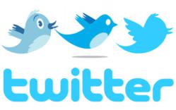downtweet, twitter, twitter search, twitter widget, twitter software, live twitter, twitter live, tweets, tweetingtweets,